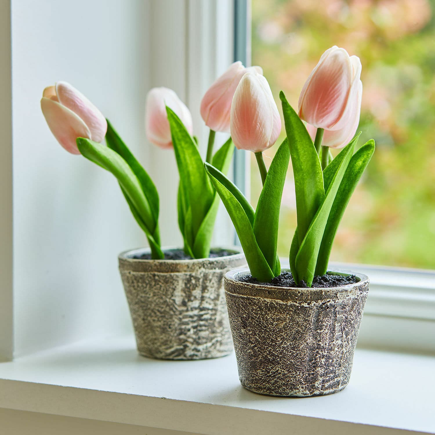 Dekorační tulipán, 2dílná sada Zéphine