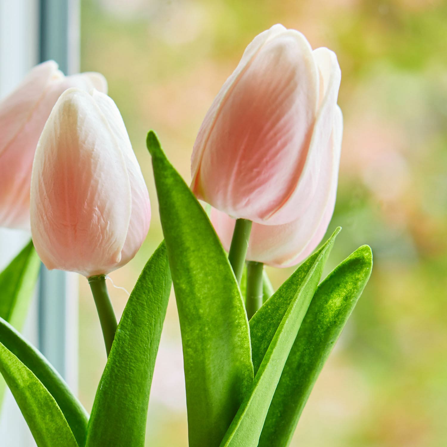 Dekorační tulipán, 2dílná sada Zéphine